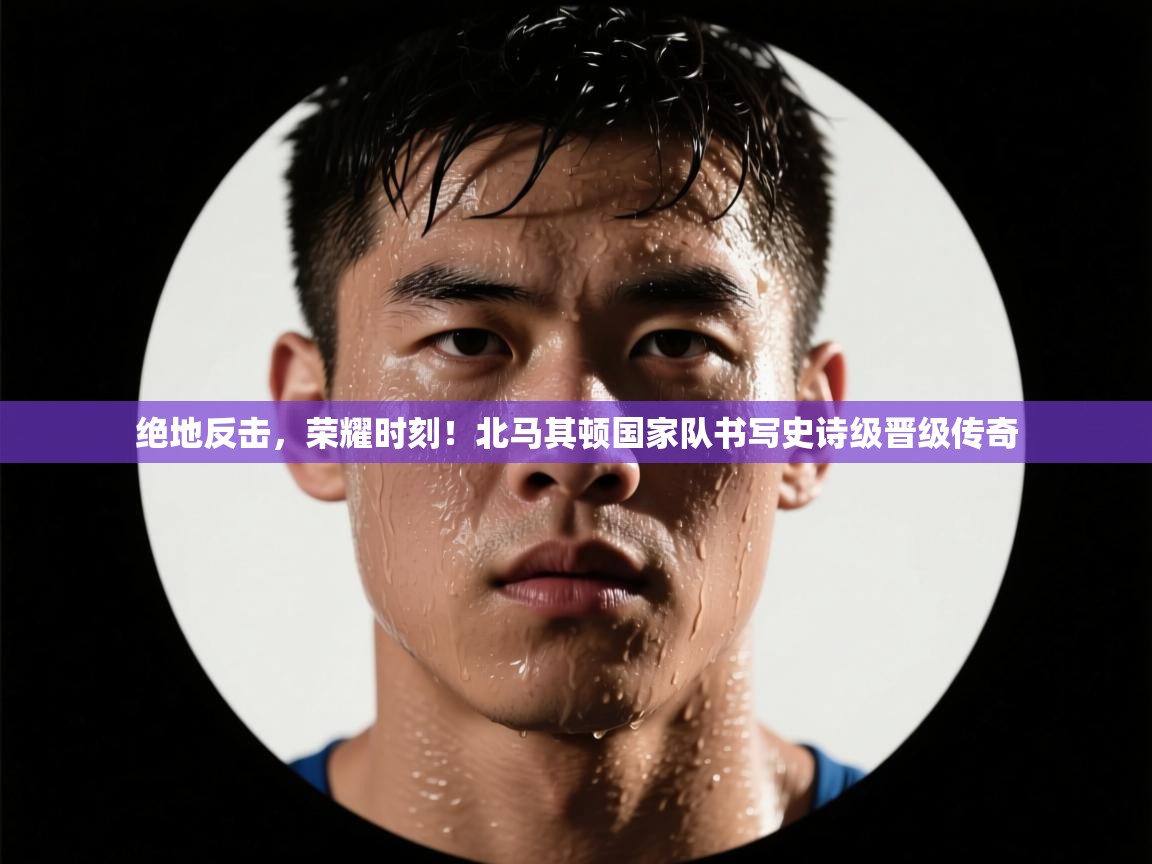 绝地反击，荣耀时刻！北马其顿国家队书写史诗级晋级传奇  第2张